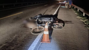 Ciclista morre atropelado em acidente na BR-267