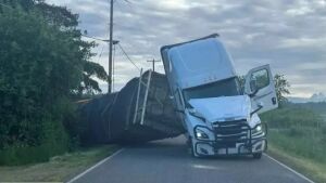 Caminhão com 250 milhões de abelhas tomba e insetos se espalham 