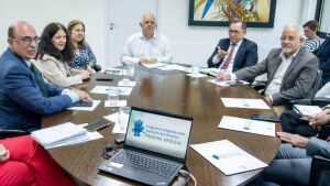 Comitê Ampliado do Programa da Primeira Infância apresenta balanço de ações e articula mobilização para evento no dia 30 de maio