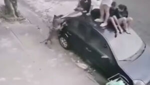Crianças sobem em carro para se defender de ataque de Pitbull 
