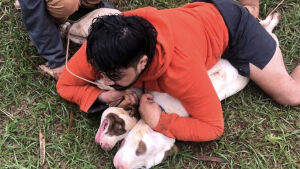 'Foi por pouco': lutador imobiliza dois pitbulls após sofrer ataque em MS
