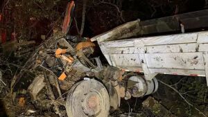 Caminhão fica totalmente destruído e motorista morre preso em ferragens próximo de Pedro Gomes 