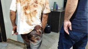 Acusado de matar o próprio irmão durante bebedeira é condenado a 18 anos de prisão

