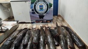 PMA de Coxim apreende 134 kg de pescado ilegal durante operação na região dos Bispos, em Sonora 