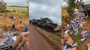 Carreta tomba na BR-163 e carga de leite e outros produtos são saqueados pela população em MS 