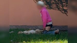 Idoso é flagrado praticando zoofilia com cadela em MS