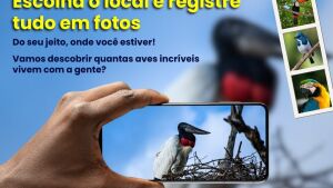 Big Day Coxim 2025: iniciativa incentiva moradores a fotografar aves e valorizar a natureza
