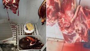 Empresários são presos com mais de 1 tonelada de carne vencida em açougues de MS