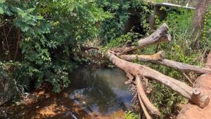 Produtor de mandioca tenta pegar água em córrego, escorrega e morre afogado em Rio Verde de MT/MS