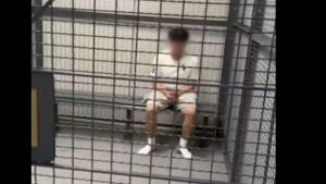 Adolescente de 13 anos é detido após perguntar ao ChatGPT como matar o amigo na escola