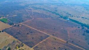 Empresa é multada em R$ 3,9 milhões por incêndio que devastou 2 mil hectares em Coxim 