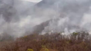 Incêndios florestais: governo de MS decreta situação de emergência e mobiliza recursos