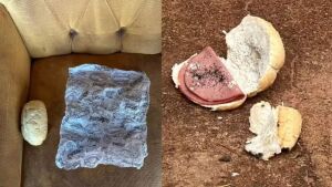 Jovem morre após comer pão com mortadela em MS; idoso é preso e confessa envenenamento