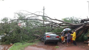 Ventos de 89 km/h causam estragos em Campo Grande e chuva segue para região norte