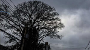 Com avisos de 'perigo potencial', Mato Grosso do Sul deve iniciar dezembro com chuva
