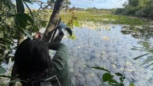 Projeto que monitora o Pantanal será financiado pelo 3º homem mais rico do mundo