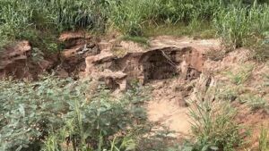 Ministério Público de MS cobra solução definitiva para erosão que compromete o Rio Taquari em Coxim 