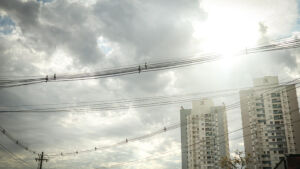 Entre 15 cidades brasileiras da lista do Inmet, 11 municípios sul-mato-grossenses oscilaram temperaturas entre 37°C e 40°C