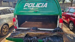 Pintado de 21 kg rende multa de R$ 33 mil a motorista durante fiscalização em MS