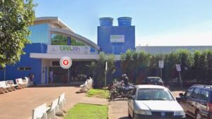 Enxame de abelhas ataca carro em MS e três pessoas vão parar no hospital