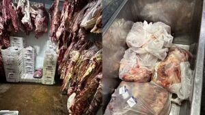 Mais de 2 toneladas de carnes impróprias para consumo são apreendidas em supermercado de MS