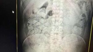 MS já prendeu 23 bolivianos na 