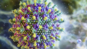 Índia afirma que controlou surto de vírus Nipah e apenas 2 casos foram confirmados