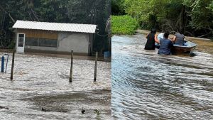 'Situação crítica': 35 famílias pantaneiras ficam desalojadas após cheia do Rio Taquari em Coxim