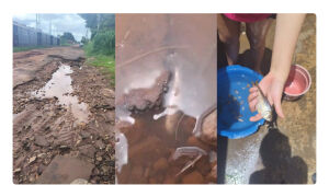 'Rua virou rio'? Moradores encontram peixes vivendo em buraco em MS