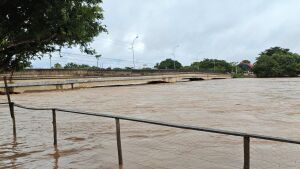 Chuvas intensas elevam nível do Rio Taquari e danificam ruas, estradas e pontes em Coxim. Veja o vídeo  