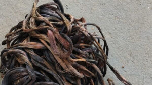 Polícia militar e polícia civil prendem autor de furto de fios em Coxim