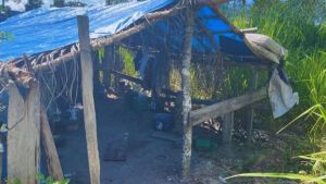 Operação resgata 12 pessoas de trabalho escravo; vítimas dormiam no chão entre agrotóxicos