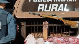 Homem é preso com carne de jacaré e javali, arma e munições na zona rural em MS