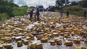 Carreta tomba e carga de cerveja fica espalhada pela pista em MS