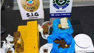 Policia militar e policia civil fecham duas bocas de fumo, apreende drogas e dinheiro em Sonora