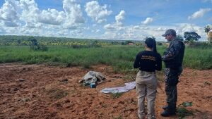 Denúncia leva PMA em Coxim a flagrar maus-tratos a bovino em propriedade rural   