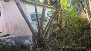 Lucia da AAVC volta a solicitar revitalização do Centro Socioeducativo Raio de Sol e defende retomada de projetos sociais em Silviolândia