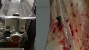 Açougue é interditado após fiscalização apreender quase meia tonelada de carnes impróprias em MS