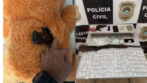 Polícia encontra arma escondida em urso de pelúcia durante operação em MS; 5 são presos