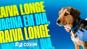 Campanha antirrábica em Coxim: vacinação de cães e gatos ocorre nos dias 19 e 26 de setembro