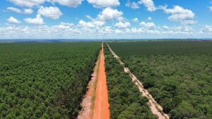 Agesul contrata obra de R$ 73,3 milhões para pavimentar 20 km da MS-213 em Sonora