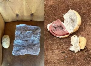 Jovem morre após comer pão com mortadela em MS; idoso é preso e confessa envenenamento