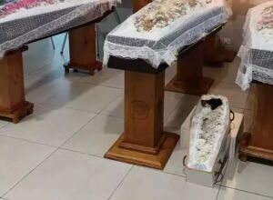 Pai, filhas e cachorrinha velados lado a lado s&atilde;o sepultados ap&oacute;s cortejo em MS