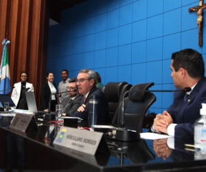 Balanço: ALEMS apresenta atividades legislativas do 1º semestre - Diário X
