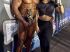 Wanderson a Silva Moreira e a esposa em uma publicação nas redes sociais. Foto: Redes sociais

