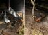 Dianteira do carro destruída e motor arrancado com impacto. Fotos: Jornal da Nova