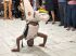 Apresentação de Capoeira. Foto: Glenda Melo