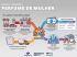 Infográfico detalha o esquema investigado na Operação Perfume de Mulher, desde a entrada clandestina dos perfumes até a distribuição e as apreensões realizadas. Foto: Divulgação/Receita Federal