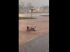 Chuva alaga ruas em Rio Verde e homem aproveita enxurrada para fazer