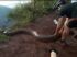 Ciclistas devolvem sucuri à lagoa após salvarem o cachorro Negão de ataque em Jaborandi, SP Foto: Miguel Tosi/Arquivo pessoal